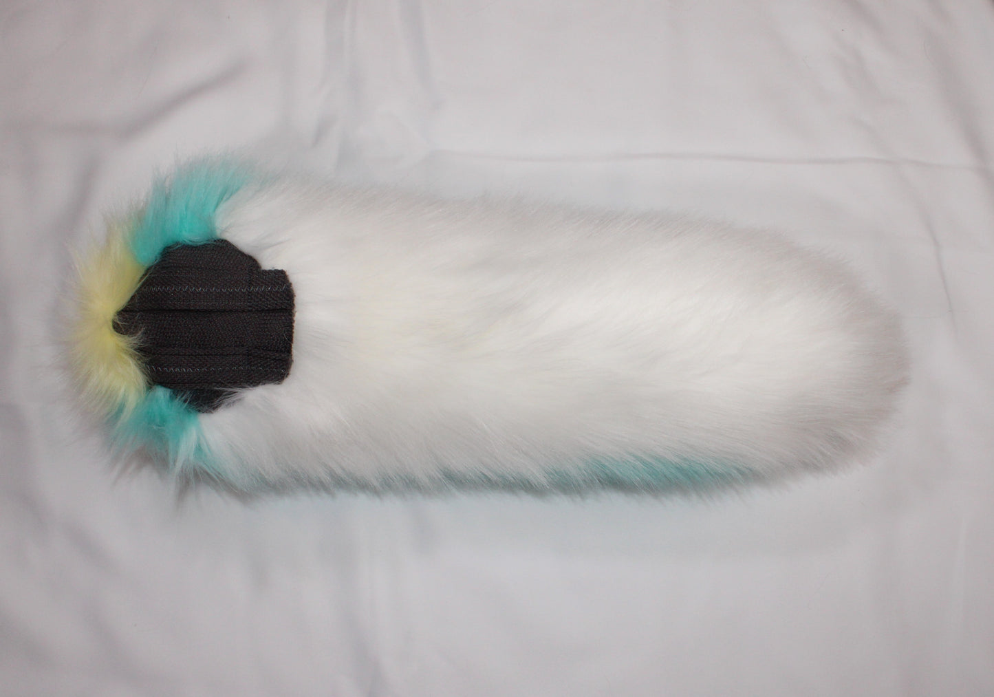 Canine Partial - Sherbet