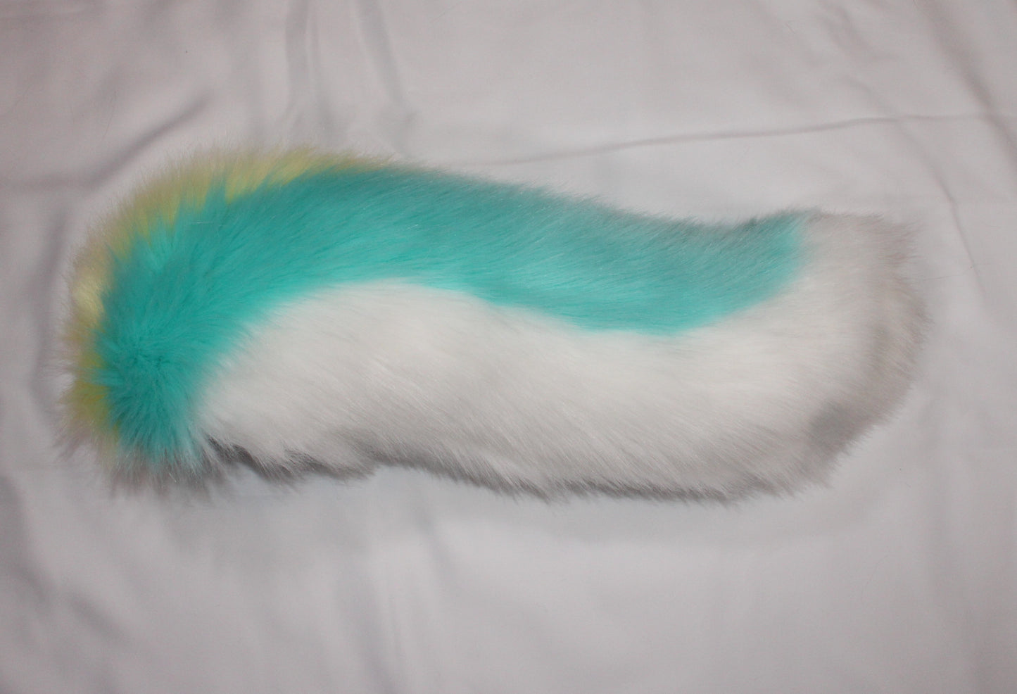 Canine Partial - Sherbet