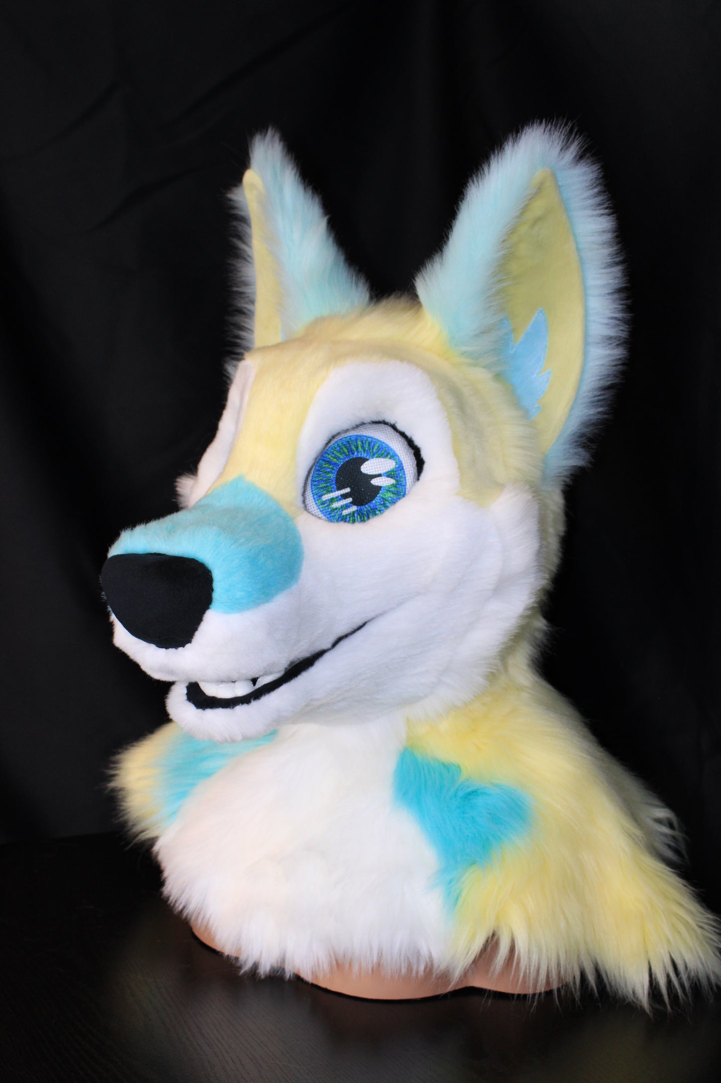 Canine Partial - Sherbet