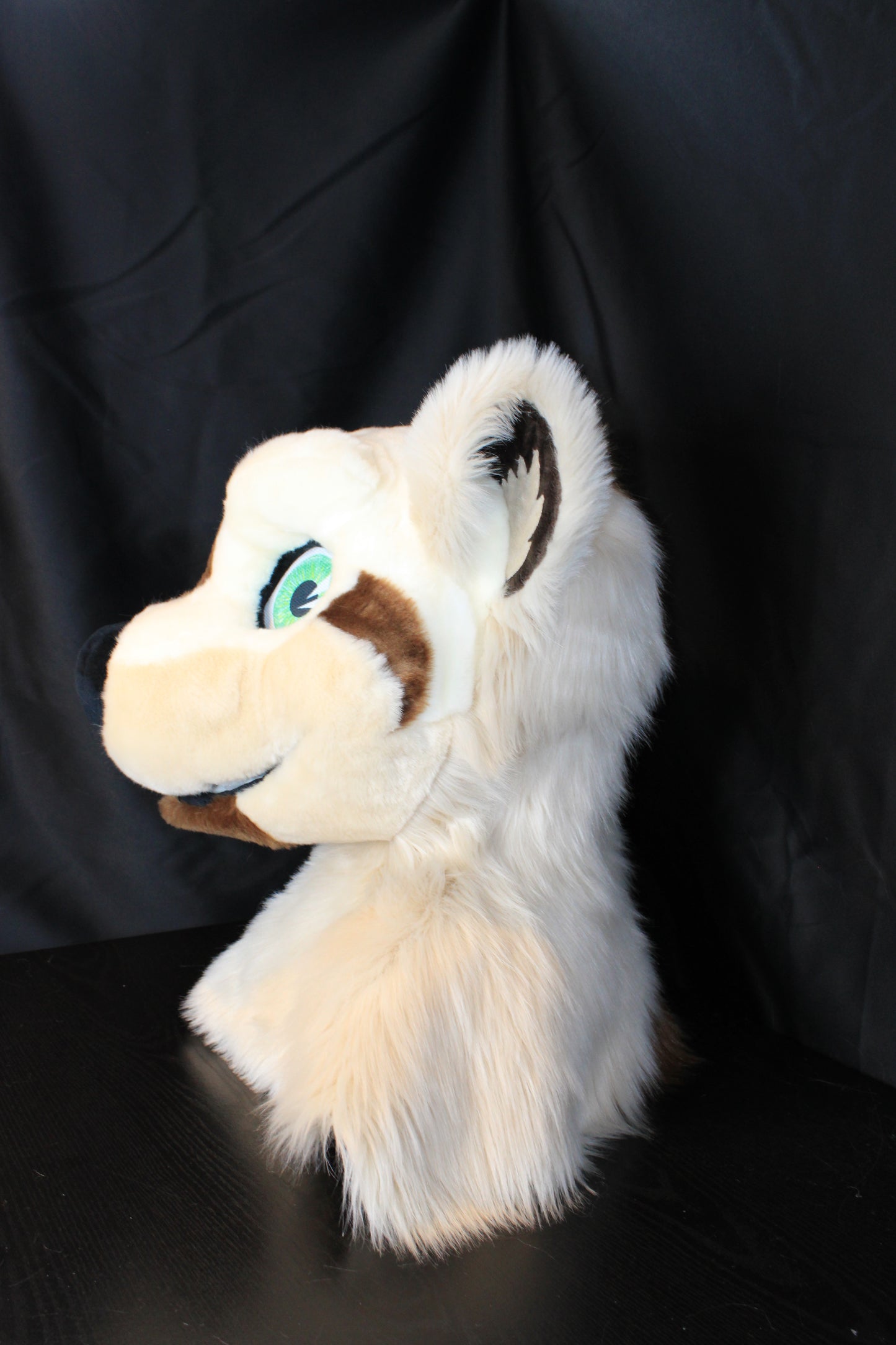Bear Partial