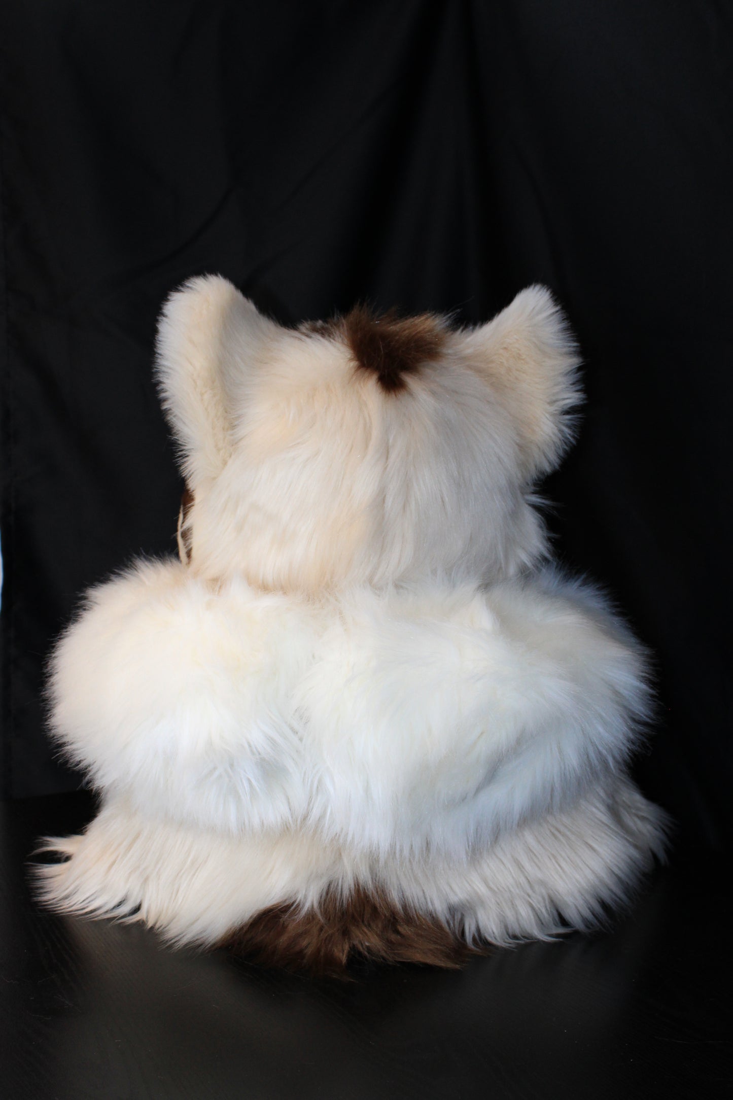 Bear Partial