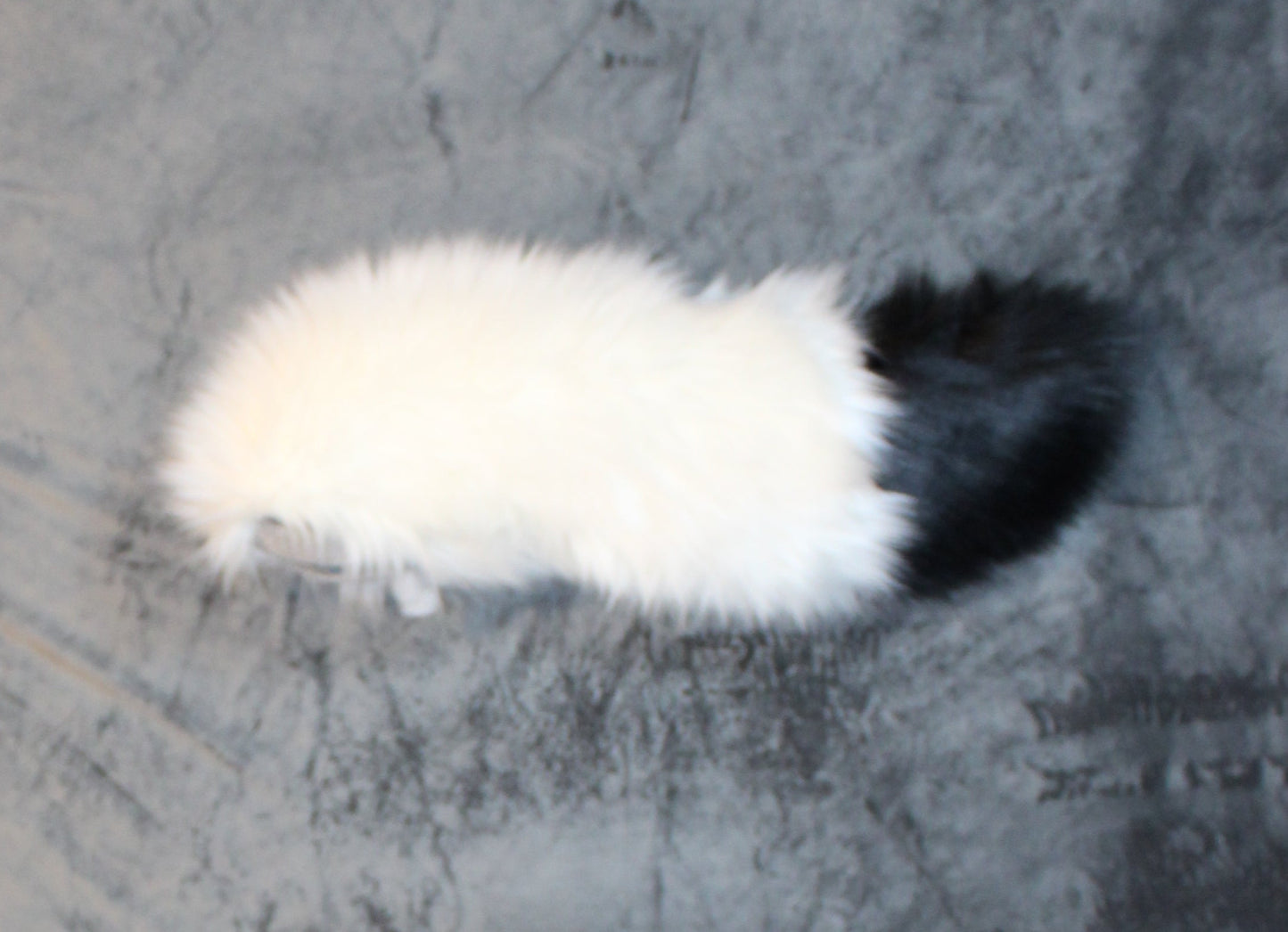 Fursuit Canine (K9) Tail - Faux Fur
