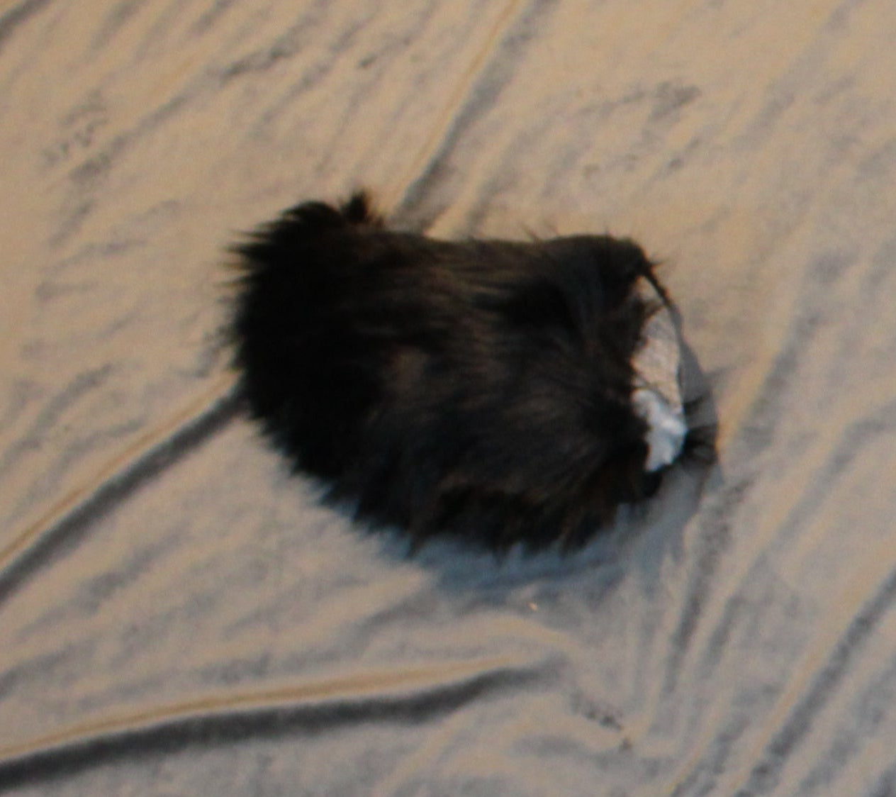 Fursuit Deer Tail - Faux Fur