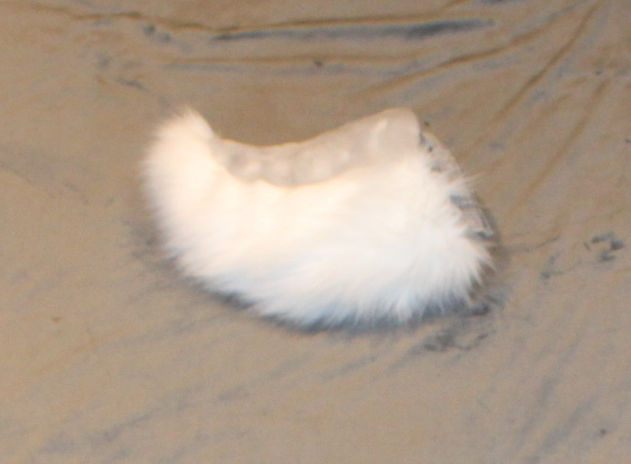 Fursuit Deer Tail - Faux Fur