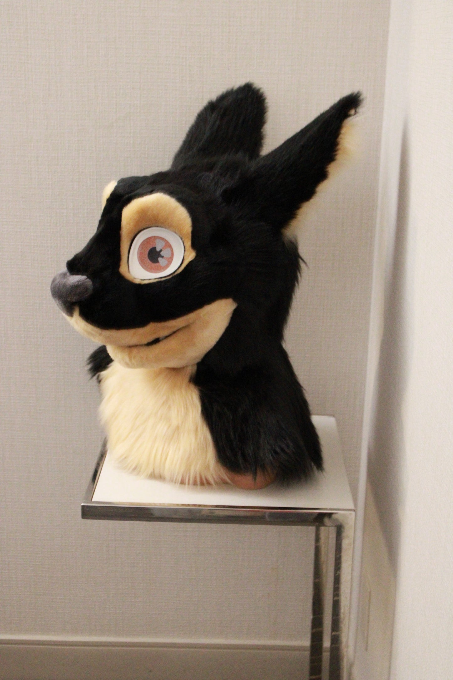 Cabbit Partial