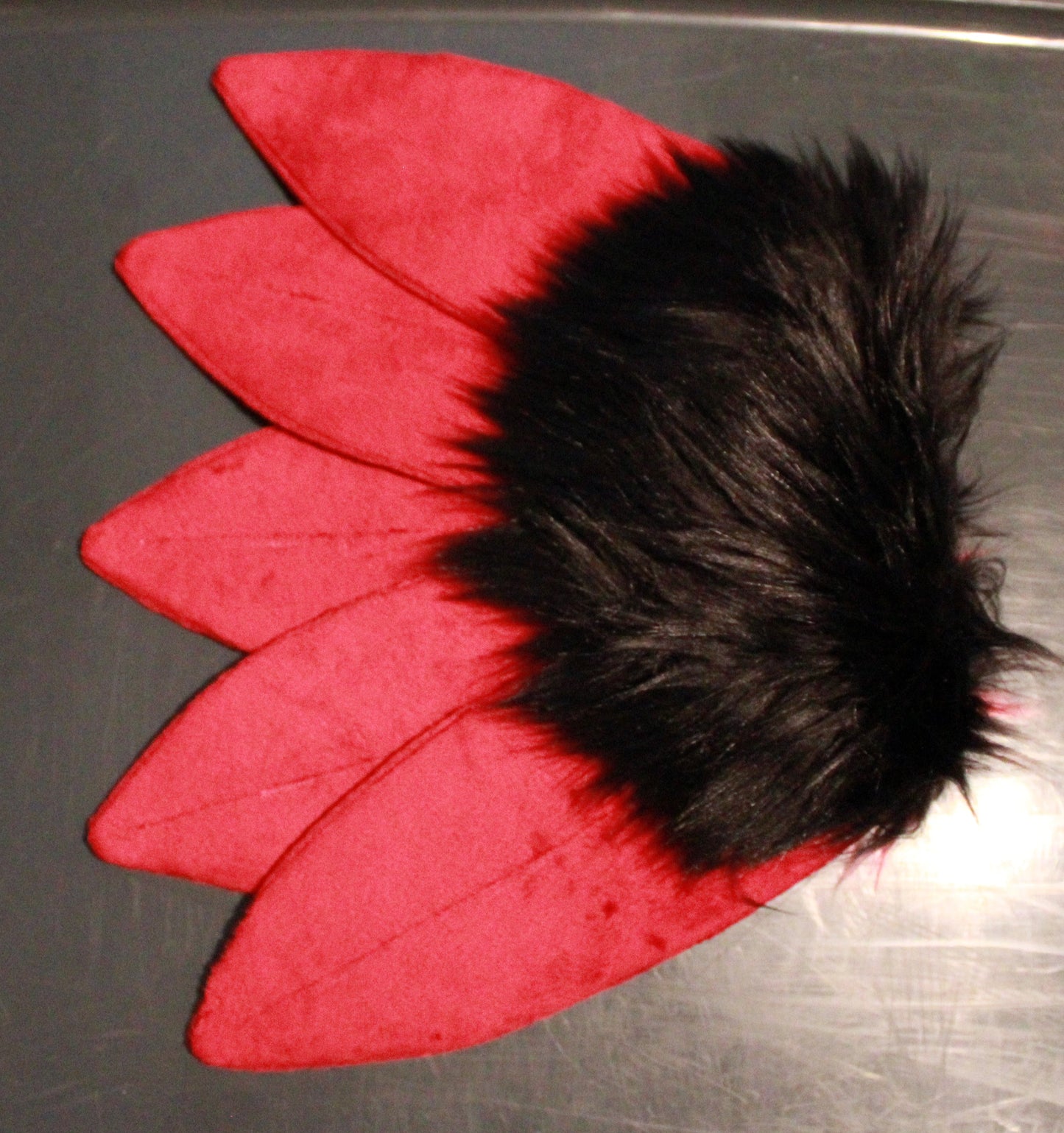 Bird Tail