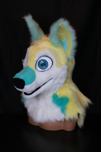 Canine Partial - Sherbet
