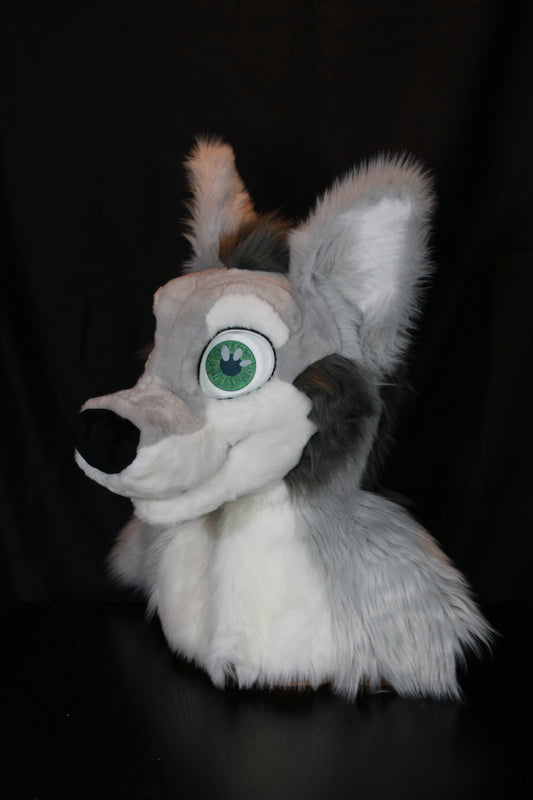 Canine Partial - Gray Wolf