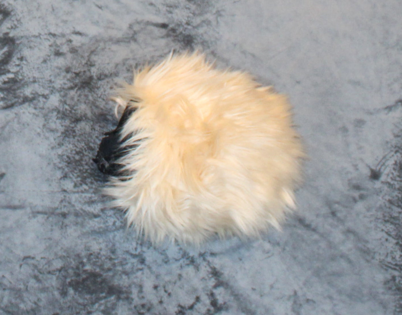Fursuit Bear Tail - Faux Fur