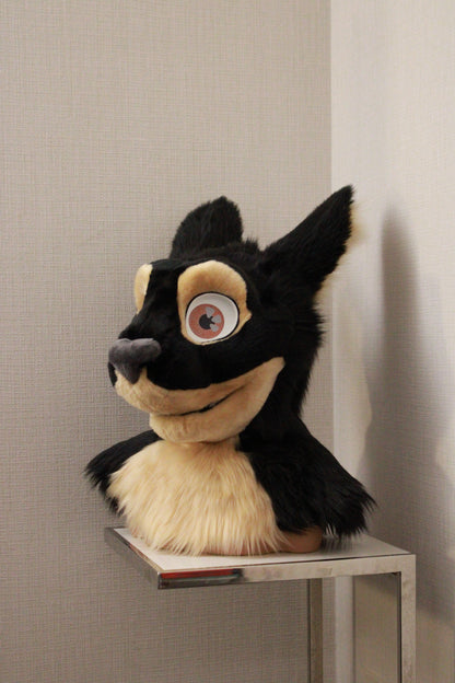 Cabbit Partial