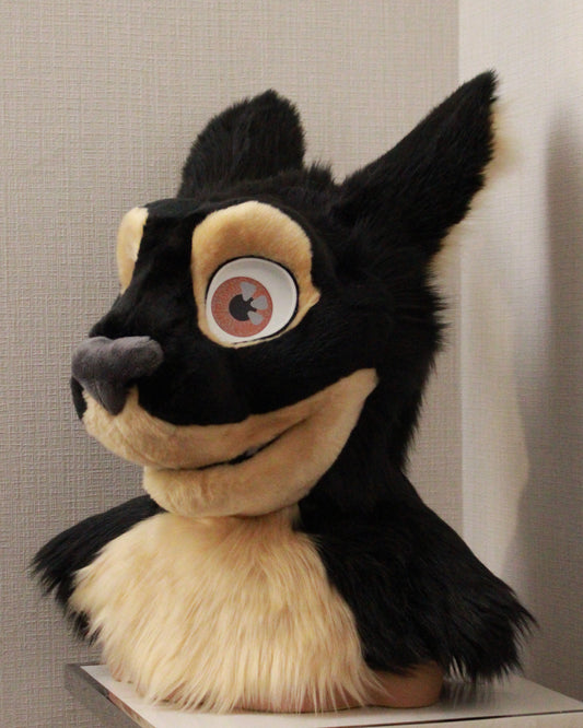 Cabbit Partial