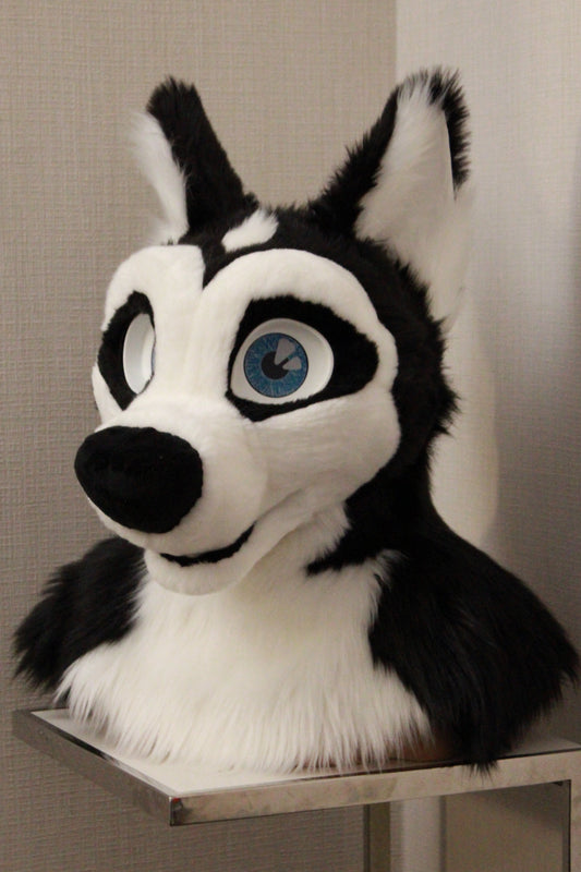 Canine Partial - Husky