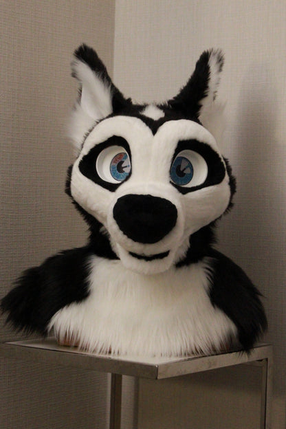 Canine Partial - Husky