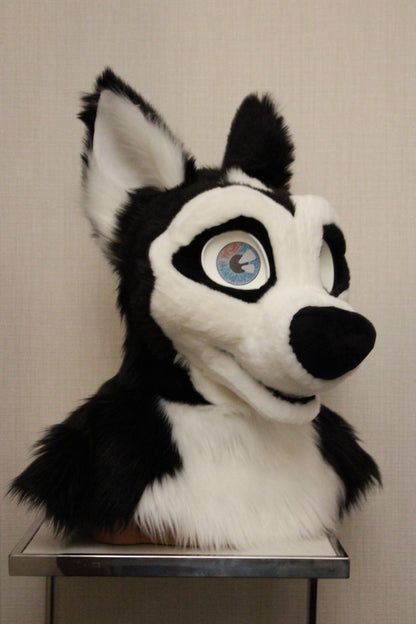 Canine Partial - Husky